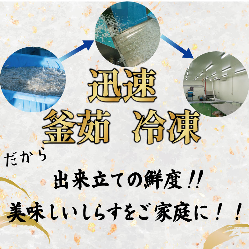 釜揚げ しらす 250g 冷凍 鮮度 産地直送 しらす丼 海鮮 海鮮丼 魚介 魚 オススメ 小分け 人気 定番 ご飯