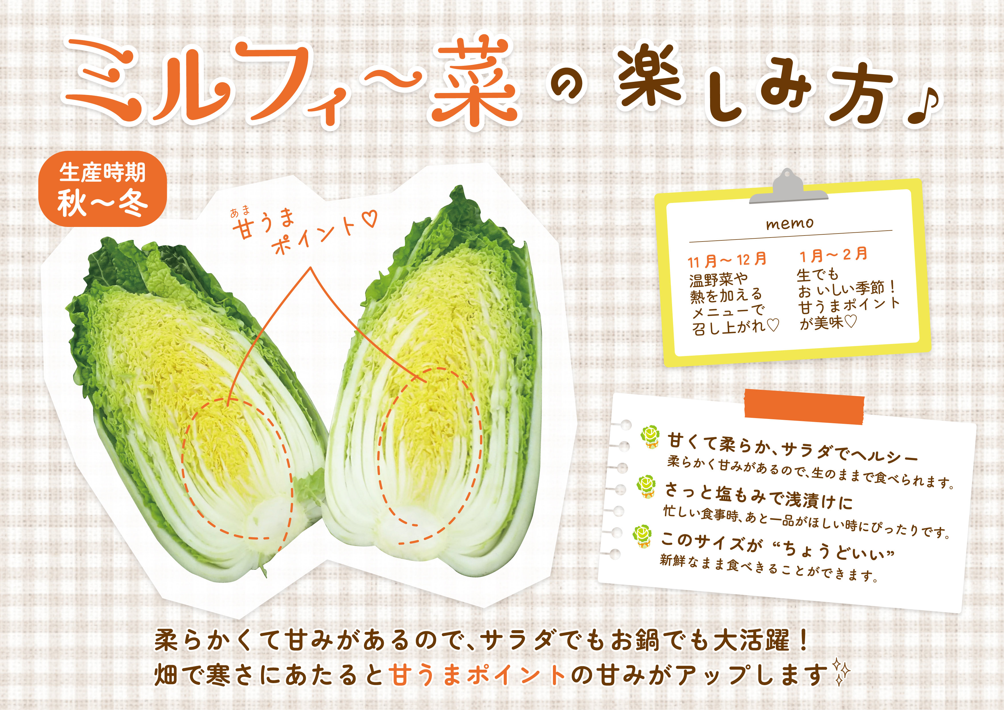 白菜 はくさい ミニ白菜 6個 セット 11月上旬から2月末まで発送 ハクサイ 野菜 葉物野菜 葉物 旬 国産 生食 甘い ヘルシー 漬物 鍋 鍋料理 煮込み料理 徳島 ミルフィ～菜