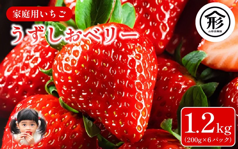 ãã¡ã èº 6ãã㯠1.2kg 2026幎1æïœ4ææ«ãŸã§çºé ããããããªãŒ æç© ãã«ãŒã ãã¶ãŒã æ¬ æ°é®® å£ç¯ å¬ äººæ° ã±ãŒã ãããã ã®ãã ãã¬ãŒã³ã èŽç å®¶åºçš å
è¡äºçŽ éæç¡æ 埳島