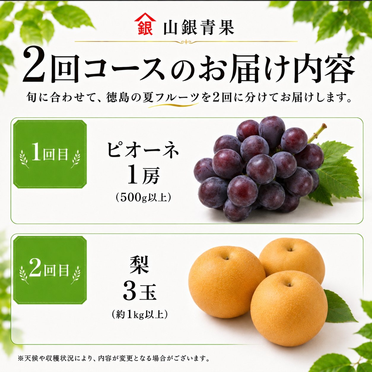 フルーツ 定期便 2回 フルーツ定期便 コースA 果物 ピオーネ 梨 季節 旬 詰め合せ 国産 おまかせ 産地直送 徳島県 徳島 山銀青果
