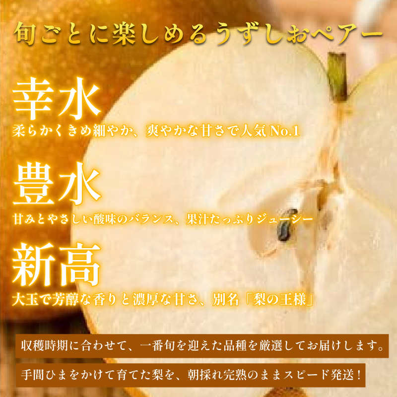 ã2026幎å
è¡äºçŽã梚 ãªã ãå®¶åºçš 2.5kgä»¥äž 5ã8ç 2026幎 8æé 次çºé ãããããã¢ãŒ æç© ãã«ãŒã ãã¶ãŒã æ¬ æ°é®® å£ç¯ ç§ äººæ° ãããã ã®ãã ãã¬ãŒã³ã èŽç èŽãç© å®¶åºçš æééå® éæç¡æ 鳎é 埳島