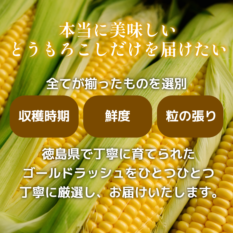 ã6æäžæ¬ããé æ¬¡çºéãããšããããã ãŽãŒã«ãã©ãã·ã¥ 4kgä»¥äž éžã¹ã 容é å³éž æ°é®® çã ç åœç£ éè ã¹ã€ãŒãã³ãŒã³ ããŒããã¥ãŒ BBQ ã³ãŒã³ æ¬ åŸ³å³¶ç