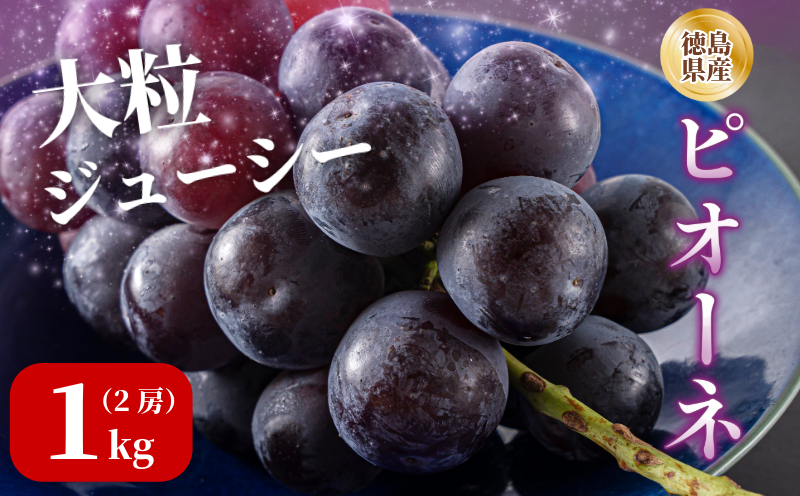 ピオーネ 2房 1kg 7月上旬以降順次発送 ブドウ 葡萄 ピオーネ 新鮮 甘い 美味しい ジューシー 産地直送 ぶどう 種無し 国産 徳島県 【7月上旬から8月中旬まで発送】