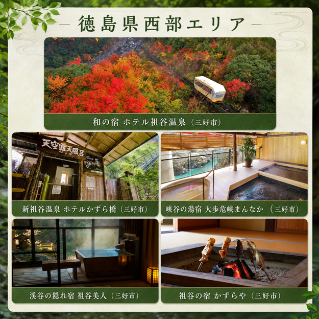 徳島県 宿泊券 30,000円分 《ここしかない！徳島県内”全域”が対象！》 阿波踊り 阿波おどり 徳島 旅行 旅行券 トラベル クーポン ホテル 宿泊 チケット 温泉 観光 すだち 鳴門金時 徳島ラーメン 半田そうめん 大塚美術館