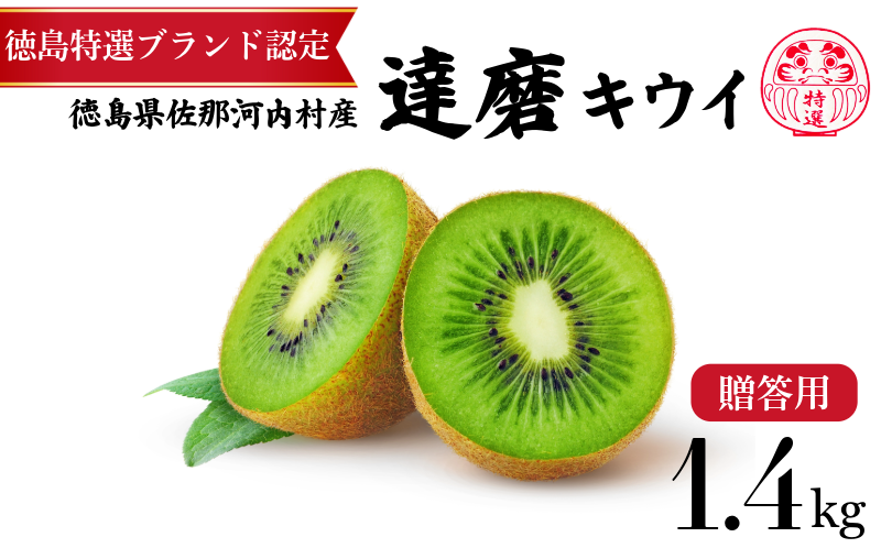 達磨キウイ 8玉 1.4kg きうい キウイ フルーツ 果物 くだもの お取り寄せ 人気 おすすめ 徳島県 送料無料 徳島青果
