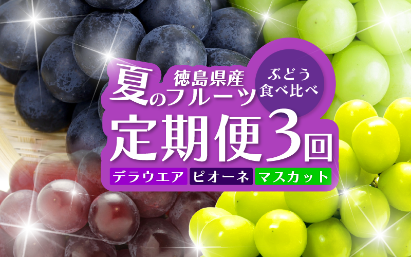 フルーツ 定期便 全3回 シャインマスカット ピオーネ デラウエア ぶどう 巨峰 ギフト 果物 夏 徳島県産 産地直送 新鮮 食べ比べ 3ヶ月