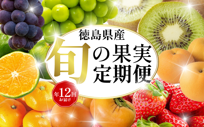 旬の果実 定期便 12回 フルーツ 果物 野菜 季節 旬 詰め合せ 国産 おまかせ 産地直送 シャインマスカット いちご みかん キウイ 不知火 トマト ピオーネ 梨 柿 徳島県