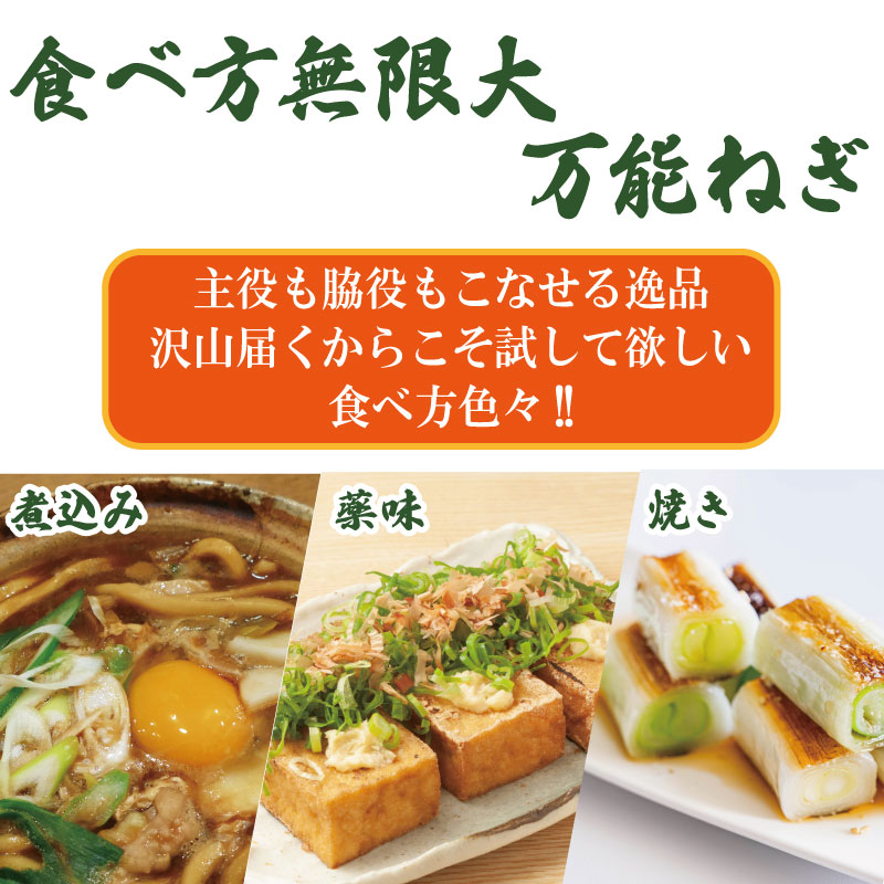 【12月~3月・7月のみ発送】青ねぎ 5kg ネギ 葱 極上 薬味 国産 野菜 うどん ギョーザ 餃子 チャーハン 焼きネギ 徳島 阿波市 新･極上青ねぎ 通常発送 旬 ネギ