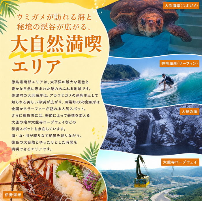 徳島県 宿泊券 15,000円分 《ここしかない！徳島県内”全域”が対象！》 阿波踊り 阿波おどり 徳島 旅行 旅行券 トラベル クーポン ホテル 宿泊 チケット 温泉 観光 すだち 鳴門金時 徳島ラーメン 半田そうめん 大塚美術館