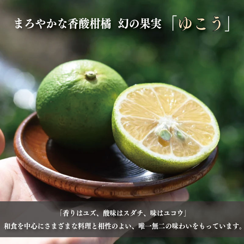 ゆこう くるみ ドレッシング 150ml × 1本 柑橘 柚香 果汁 ナッツ サラダ 野菜 豚肉 しゃぶしゃぶ ゆず すだち に負けない 徳島 勝浦