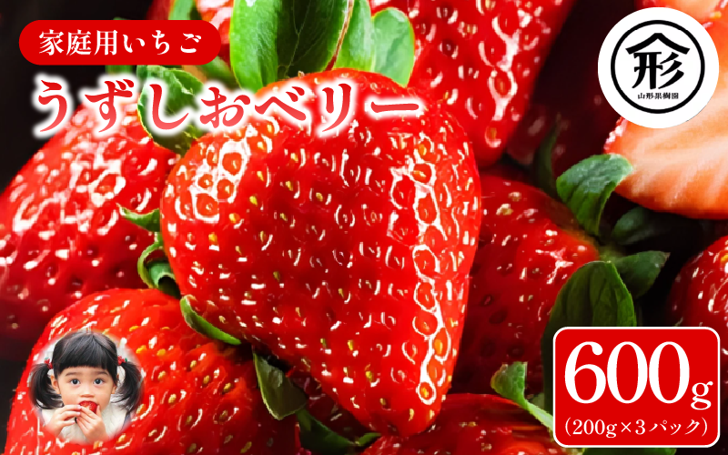 いちご 苺 3パック 600g 2026年1月～4月末まで発送 うずしおベリー 果物 フルーツ デザート 旬 新鮮 季節 冬 人気 ケーキ おすすめ ギフト プレゼント 贈答 家庭用 先行予約 送料無料 徳島