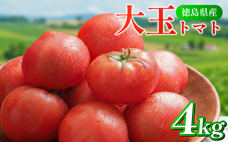 トマト 4kg 大玉 とまと 4月～6月発送 野菜 やさい 国産 産地直送 数量限定 旬 徳島県産 tomato サラダ おすすめ 徳島県