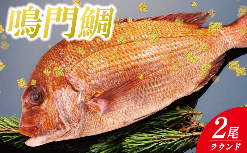 鳴門鯛 2kg 《 ラウンド 2尾 》 鯛 2尾 刺身 タイ 天然 鳴門 鯛 下処理 対応 塩焼き 鯛めし 祝い鯛 おせち 正月 しゃぶしゃぶ 鯛しゃぶ 鍋 年末年始 徳島 魚 市場