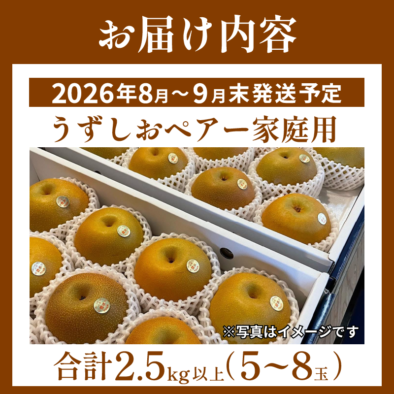 ã2026幎å
è¡äºçŽã梚 ãªã ãå®¶åºçš 2.5kgä»¥äž 5ã8ç 2026幎 8æé 次çºé ãããããã¢ãŒ æç© ãã«ãŒã ãã¶ãŒã æ¬ æ°é®® å£ç¯ ç§ äººæ° ãããã ã®ãã ãã¬ãŒã³ã èŽç èŽãç© å®¶åºçš æééå® éæç¡æ 鳎é 埳島