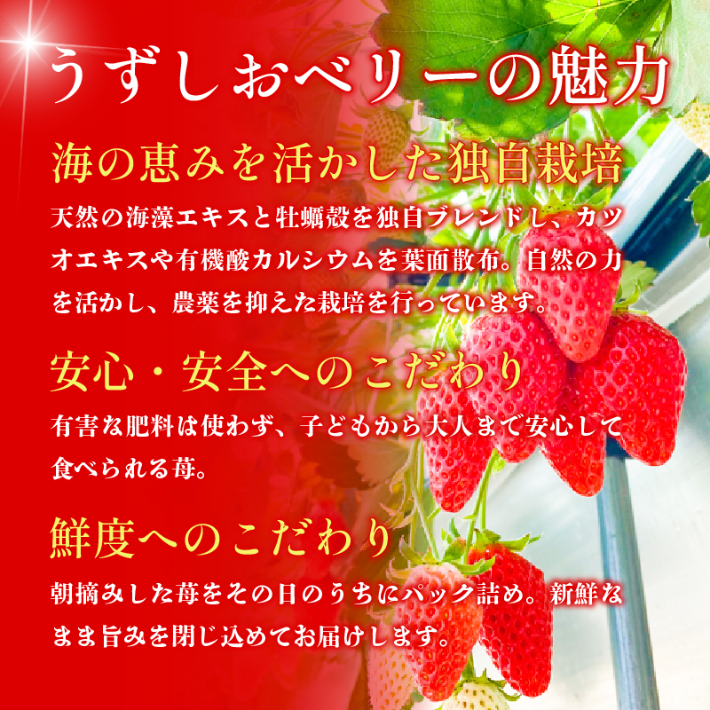 å·å ãã¡ã èº 1ãã㯠1kg ããããããªãŒ å·åã€ã㎠ã€ã㎠æç© ã¹ããããªãŒ ãã«ãŒã ãã¶ãŒã æ°·è ã¹ã€ãŒã ã¢ã€ã¹ ã¹ã ãŒãžãŒ æ¬ æ°é®® å£ç¯ å¬ äººæ° ã±ãŒã ãããã ã®ãã ãã¬ãŒã³ã éæç¡æ 埳島