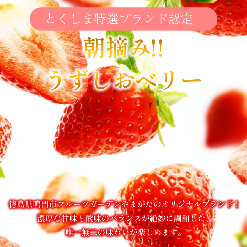 å·å ãã¡ã èº 1ãã㯠1kg ããããããªãŒ å·åã€ã㎠ã€ã㎠æç© ã¹ããããªãŒ ãã«ãŒã ãã¶ãŒã æ°·è ã¹ã€ãŒã ã¢ã€ã¹ ã¹ã ãŒãžãŒ æ¬ æ°é®® å£ç¯ å¬ äººæ° ã±ãŒã ãããã ã®ãã ãã¬ãŒã³ã éæç¡æ 埳島