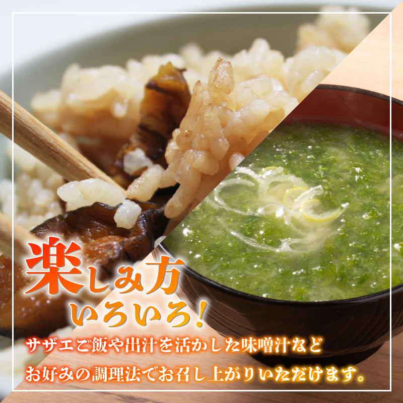 繧オ繧カ繧ィ 1kg 縺輔*縺 雋 雋晞。 譬陞コ 魄ョ鬲 豬キ魄ョ 鬲壻サ 蛻コ霄ォ 辟シ縺咲黄 豎∫黄 縺輔*縺医#鬟ッ 螢コ辟シ縺 縺、縺シ 豁」譛 縺翫○縺。 繧ョ繝輔ヨ 雍育ュ 雍医j迚ゥ 逾昴> 豁ウ證ョ 荳ュ蜈 蟷エ譛ォ 蟷エ蟋 繝舌シ繝吶く繝・繝シ BBQ sazae 蠕ウ蟲カ 髦ソ蜊