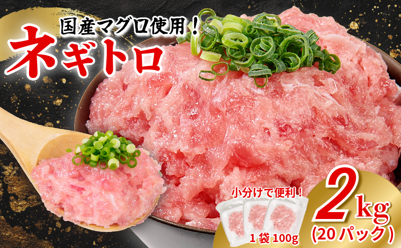 ネギトロ 2kg 100g×20P ねぎとろ マグロ 小分け ねぎとろ ネギトロ丼 まぐろたたき まぐろ マグロ 鮪 海鮮 海鮮丼 魚介 魚 人気 オススメ 小分け 人気 定番 ご飯