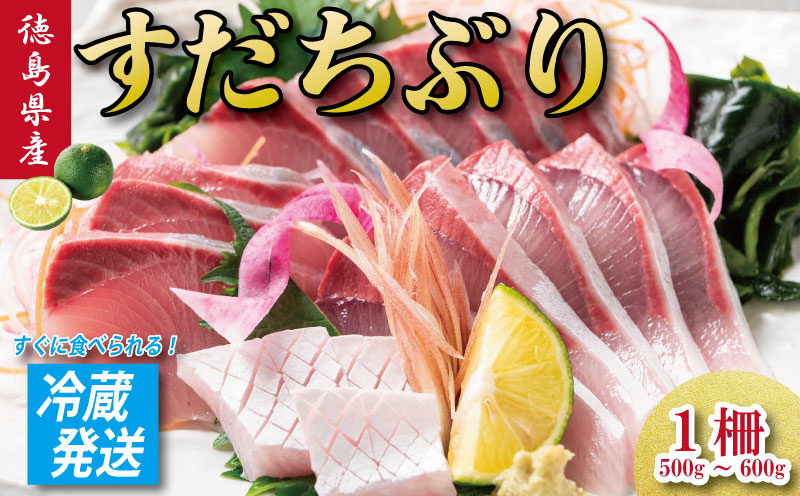 すだちぶり 1柵 《 冷蔵発送！すぐに食べられる！》 10月から11月末まで発送 すだち ぶり 鰤 刺身 ぶりしゃぶ 切り身 さしみ しゃぶしゃぶ かぼすぶり に負けない 下処理済み 徳島 鳴門 なると