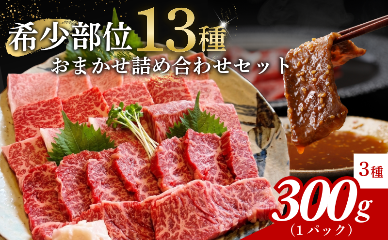 阿波牛 食べ比べ 13種 焼肉 セット 希少部位 入り 300g 赤身 霜降り 国産牛 和牛 贈答用 ミスジ トモサンカク イチボ マルシン ランプ カメノコ クリ トウガラシ マクラ ニノウデ カイノミ カルビ ロース フランケン 徳島県 森井食肉店