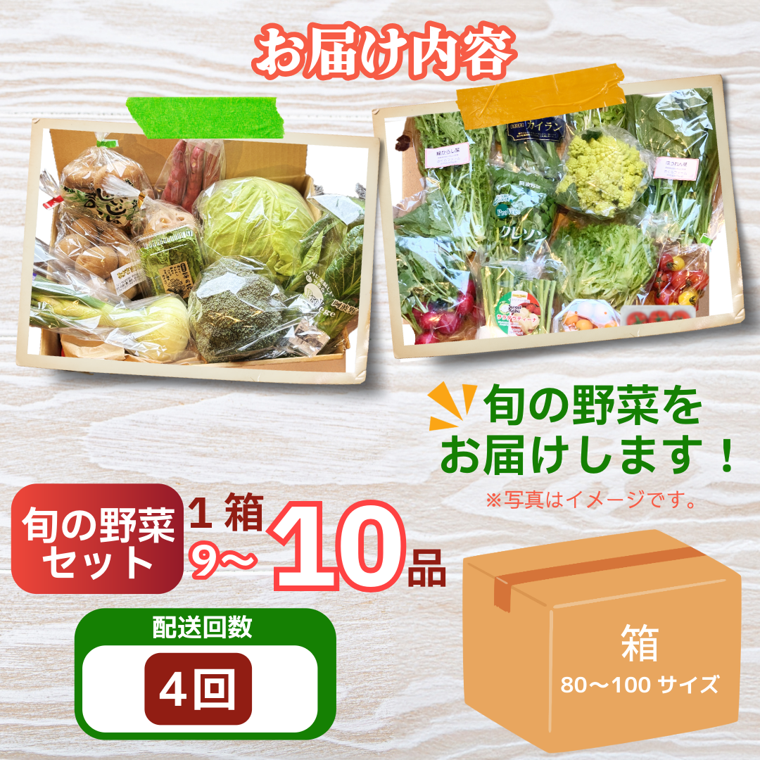 野菜 セット 9～10品 定期便 4回 季節 旬 野菜 詰め合せ 国産 季節 旬 おまかせ 産地直送 春野菜 夏野菜 秋野菜 葉物 果物 果菜 根菜 冷蔵 野菜室 ダイエット 食 栄養食 加工品 カット野菜