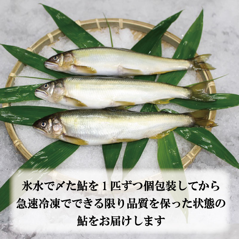 縺吶□縺。 魄 1kg 縺ゅf 蜀キ蜃 縺吶□縺。譫懈ア 蝪ゥ辟シ縺 逕倬愆辣ョ 邀ウ 縺顔アウ 縺秘」ッ 縺ィ荳邱偵↓ 縺縺ェ縺 魄ュ 縺九▽縺 縺ォ雋縺代↑縺 鬲 蟾晞ュ 譟第ゥ BBQ 驟 縺、縺セ縺ソ 鬢頑ョ 蠕ウ蟲カ