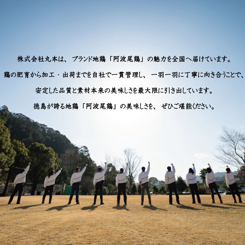 鶏肉 阿波尾鶏 切り身のみ 3kg むね肉 とり肉 とりむね 鶏むね肉 ブランド 地鶏 サラダ チキン ステーキ 唐揚げ 焼き鳥 カット 冷凍 JAS規格 海陽町 徳島 丸本