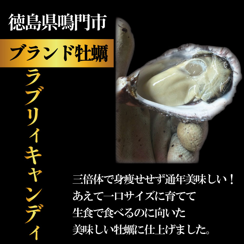 【先行予約】 牡蠣 生牡蠣 殻付き 20個 生食可 冷蔵 (ナイフ付き) ラブリィキャンディ 真牡蠣 かき カキ ブランド 旬 新鮮 海鮮 濃厚 料理 鍋 牡蠣鍋 カキフライ バーベキュー BBQ キャンプ おいしい TV テレビ 徳島県 鳴門