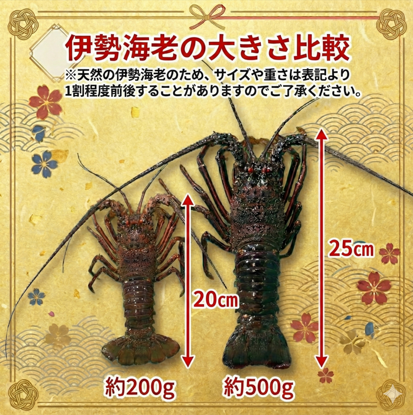 伊勢海老 200g 3尾 えび エビ 高級 伊勢 伊勢えび 鮮魚 海鮮 魚介 刺身 焼き物 汁物 イセエビ 海老 正月 おせち ギフト 贈答 贈り物 祝い 歳暮 中元 年末 年始 ebi 徳島 阿南 【年末年始 発送対応可能です！】