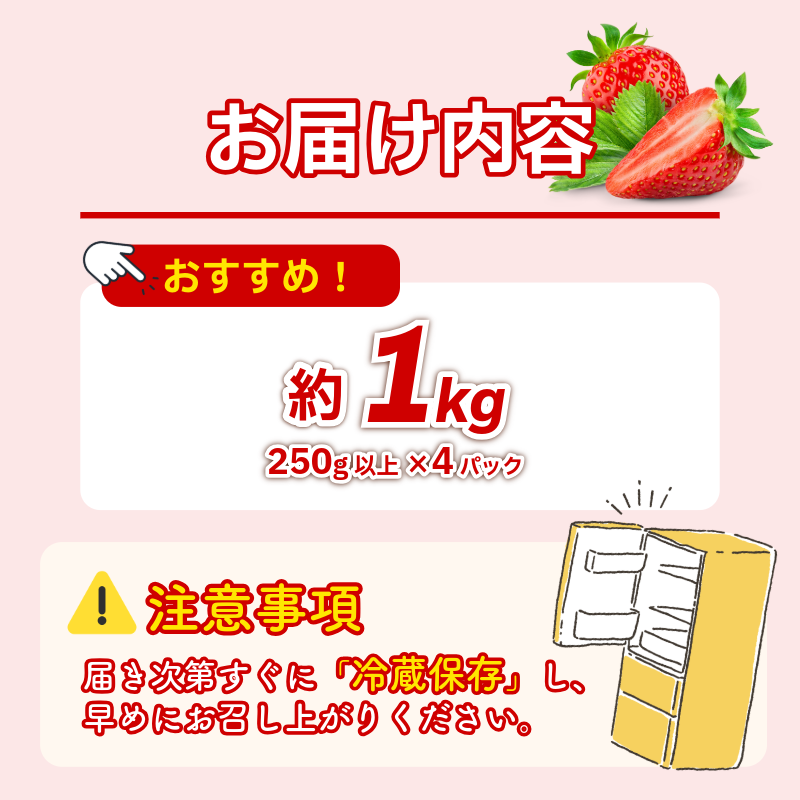【 先行予約 】 いちご 1kg 紅ほっぺ 苺 イチゴ ストロベリー 数量限定 徳島県産 strawberry ichigo itigo 2月上旬より順次出荷 徳島県 9000 9000円 一万以内 10000円以内