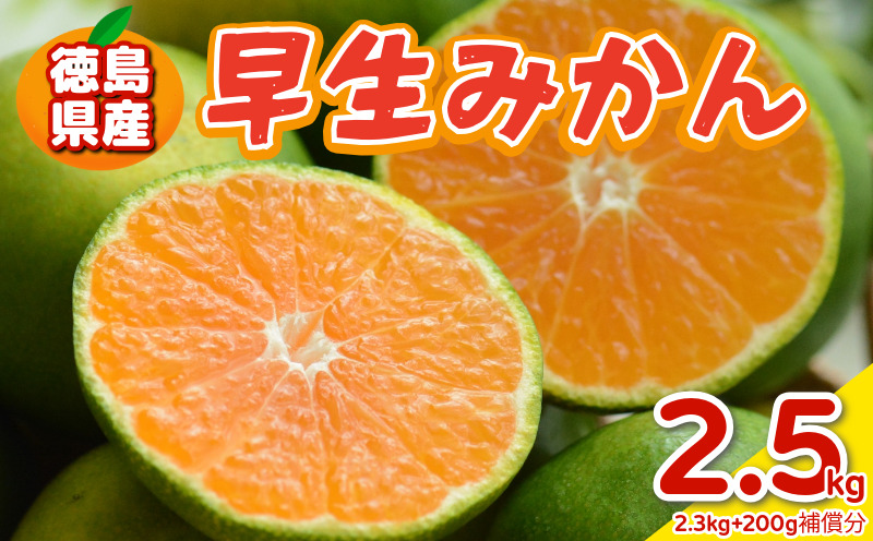 みかん 早生みかん 2.5kg 2.3kg＋傷み補償分200g 早生 柑橘 フルーツ 果物 みかん ミカン みかん 蜜柑 早採り オレンジ 1万円未満 徳島県 勝浦町 徳島市 八多町