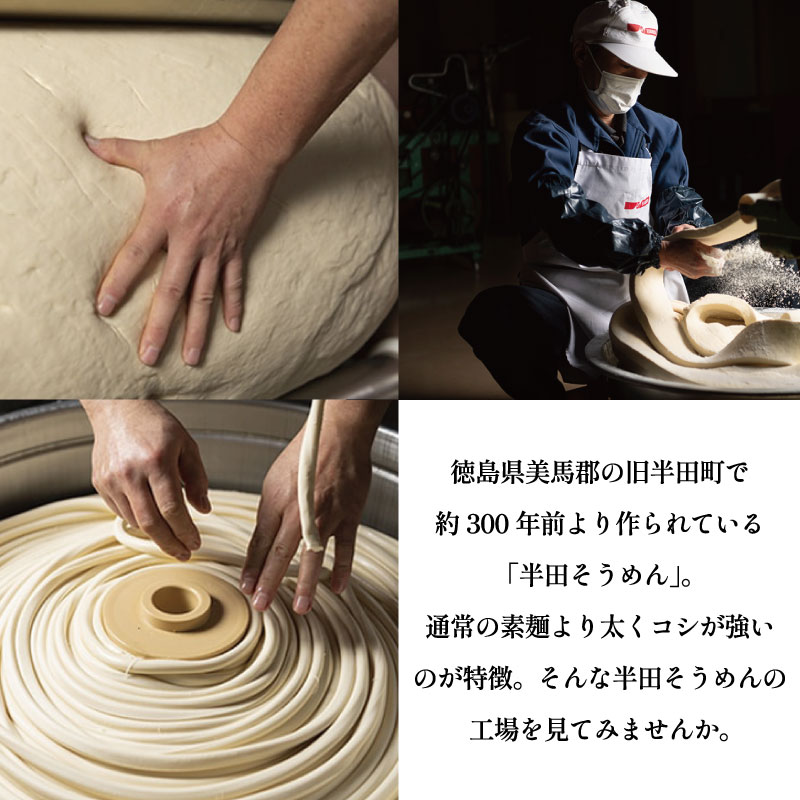 半田そうめん 工場見学 大人2名様 《 食べ比べ お土産 つき！ 》 チケット そうめん 箸入れ体験 生そうめん 試食 素麺 麺 家族 ファミリー 親子 旅行 観光 体験 徳島 つるぎ町