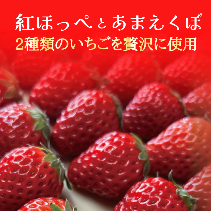 いちご ジェラート 食べ比べセット 8個 4種 いちご 苺 フルーツ 紅ほっぺ あまえくぼ 果物 旬 ジェラート アイス 夏 ギフト 夏ギフト プチギフト 国産 食べ比べ セット 冷たい 贈り物 冷凍 おやつ