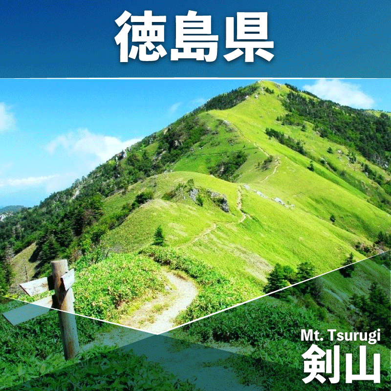 髦ソ豕「迚 襍、霄ォ辟シ閧峨そ繝繝 600g 蜀キ蜃 蝗ス逕」 鮟呈ッ帛柱迚 髦ソ豕「迚 蜥檎央 迚幄i 繧サ繝繝 襍、霄ォ 繝槭Ν 繧、繝√ 繧ッ繝ェ 繧ォ繝。繝弱さ 繝医え繧ャ繝ゥ繧キ 繝舌シ繝吶く繝・繝シ BBQ