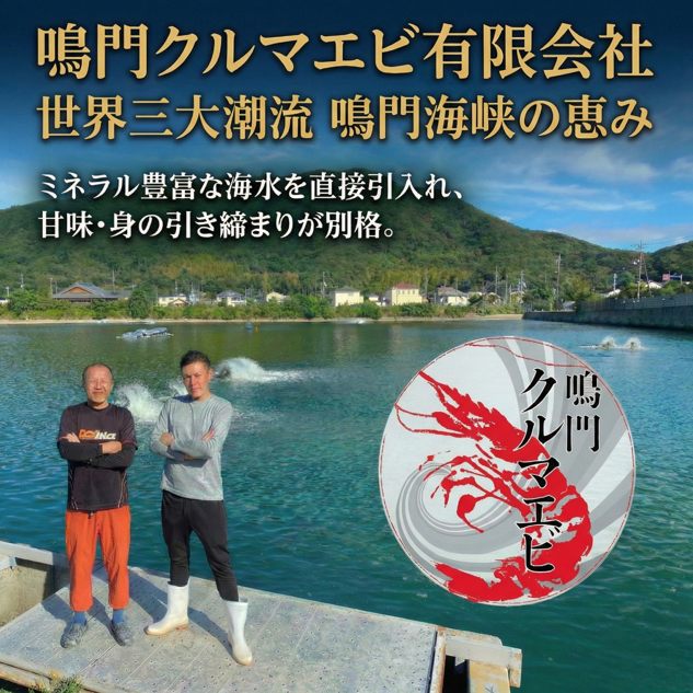 ãæå®æ¥å¿
é ã æŽ»ãè»æµ·è 250g çŽ7å°Ÿïœ10å°Ÿ ãµã€ãºäžïœå€§ ã¯ã«ããšã è»ãšã ã㳠掻ããšã 掻ãããŸãŸ 逿® å¡©çŒã 倩ã·ã ãã©ã€ å·èµ 埳島 鳎é ã10æïœ1æäžæ¬ çºéã