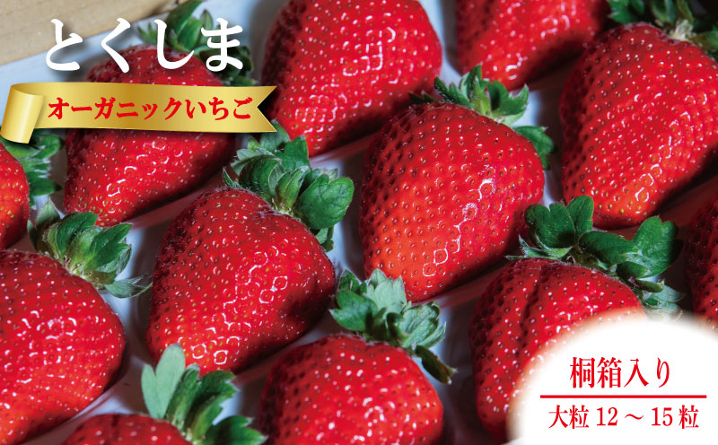 いちご 苺 大粒12から15粒 1月中旬から5月末まで発送 桐箱入り オーガニック 高級 あま 甘い 果物 フルーツ デザート 赤 お歳暮 ギフト 箱 贈答 プレゼント 自宅 旬 スイーツ クリスマス ケーキ ベリー ミルク 先行予約 年 日 品種 有機JAS ふるさと 徳島 とくしまオーガニックいちご大粒12から15粒桐箱入り