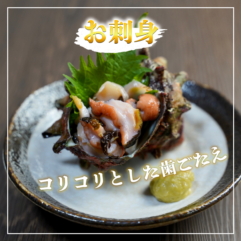 繧オ繧カ繧ィ 1kg 縺輔*縺 雋 雋晞。 譬陞コ 魄ョ鬲 豬キ魄ョ 鬲壻サ 蛻コ霄ォ 辟シ縺咲黄 豎∫黄 縺輔*縺医#鬟ッ 螢コ辟シ縺 縺、縺シ 豁」譛 縺翫○縺。 繧ョ繝輔ヨ 雍育ュ 雍医j迚ゥ 逾昴> 豁ウ證ョ 荳ュ蜈 蟷エ譛ォ 蟷エ蟋 繝舌シ繝吶く繝・繝シ BBQ sazae 蠕ウ蟲カ 髦ソ蜊