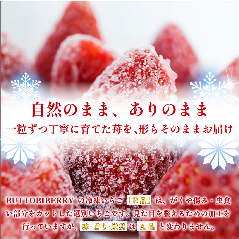 ãã¡ã å·å ãªãŒã¬ãã㯠1kg Bå èº ã¹ããããªãŒ ãã«ãŒã æç© ãã ãã® åœç£ æŽèå åèå ã¹ã€ãŒã ãèå ãã〠ã¢ã€ã¹ ã±ãŒã ããã§ ã¿ã«ã ãŒãªãŒ 埳島ç