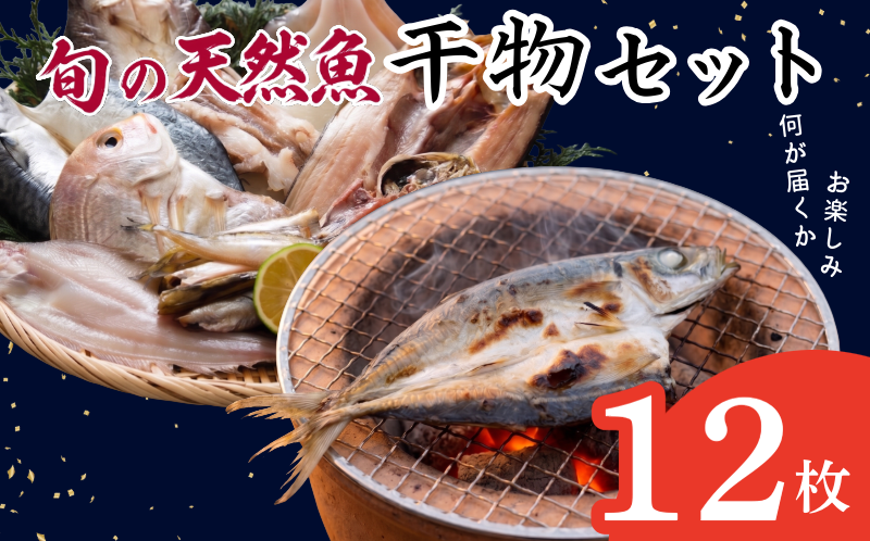 干物 詰め合わせ 4種以上 12枚 魚 干物 干し物 セット 干物セット 鯛 鳴門鯛 天然 天然鯛 アジ 鯵 サバ 鯖 カマス 一夜干し 冷凍 海鮮 おつまみ 鳴門 徳島 ギフト 晩ごはん 贈り物 ふるさと納税 送料無料 魚介 魚貝 開き 人気