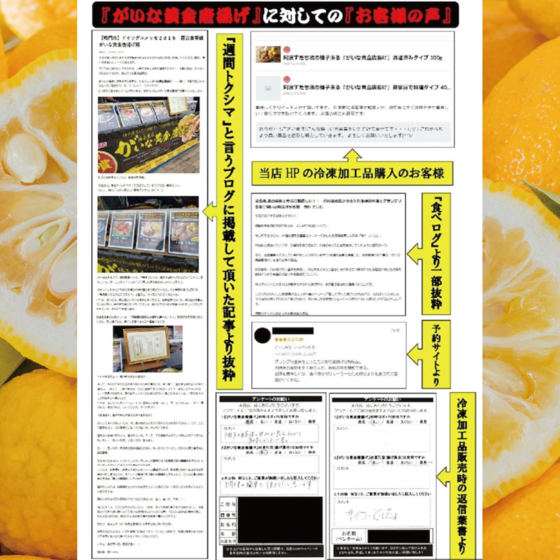 唐揚げ 鶏肉 鶏 柚子 400g×3パック から揚げ 国産 鶏 からあげ 柚子薫る がいな 黄金からあげ フライドチキン グルメ 柑橘 みかん 小分け おかず 弁当 惣菜 ビール おつまみ 簡単調理 人気 おすすめ 送料無料 なし 美味しい 美馬 徳島