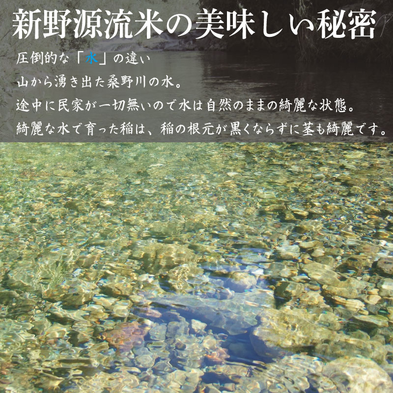 米 5kg お米 ご飯 コシヒカリ ヒノヒカリ に負けない こめ ご飯 ごはん おにぎり 白米 精米 精白米 卵かけご飯 うなぎ うな重 食品 備蓄 備蓄米 保存 防災 ギフト 贈答 プレゼント お取り寄せ グルメ 送料無料 徳島 阿南 新野源流米 あきさかり