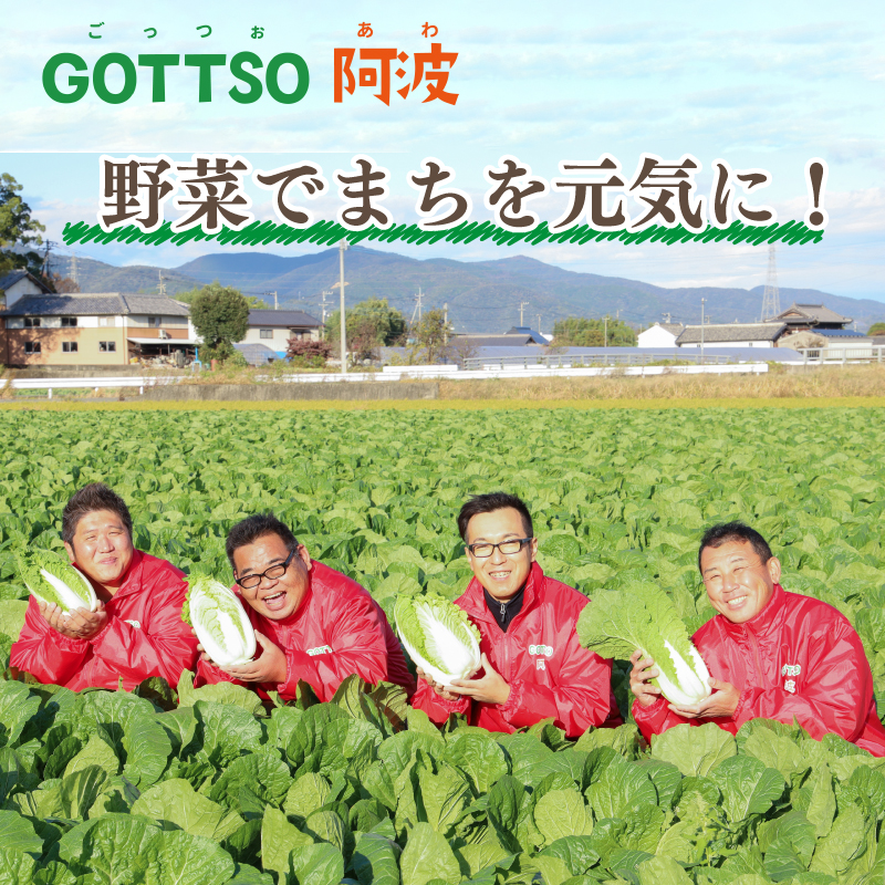 逋ス闖 縺ッ縺上&縺 繝溘ル逋ス闖 3蛟 繧サ繝繝 11譛井ク頑流縺九i2譛域忰縺セ縺ァ逋コ騾 繝上け繧オ繧、 驥手除 闡臥黄驥手除 闡臥黄 譌ャ 蝗ス逕」 逕滄」 逕倥> 繝倥Ν繧キ繝シ 貍ャ迚ゥ 骰 骰区侭逅 辣ョ霎シ縺ソ譁咏炊 蠕ウ蟲カ 繝溘Ν繝輔ぅス櫁除