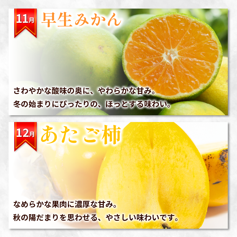 フルーツ 定期便 12ヶ月 果物 季節 旬 詰め合せ 国産 おまかせ 産地直送 シャインマスカット いちご みかん デコポン 桃 メロン 八朔 梨 柿 あたご柿 徳島
