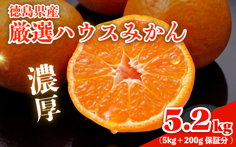みかん ハウスみかん 5.2kg 傷み補償付き200g みかん 柑橘 フルーツ 果物 みかん ミカン みかん 蜜柑 オレンジ 徳島県 阿南市