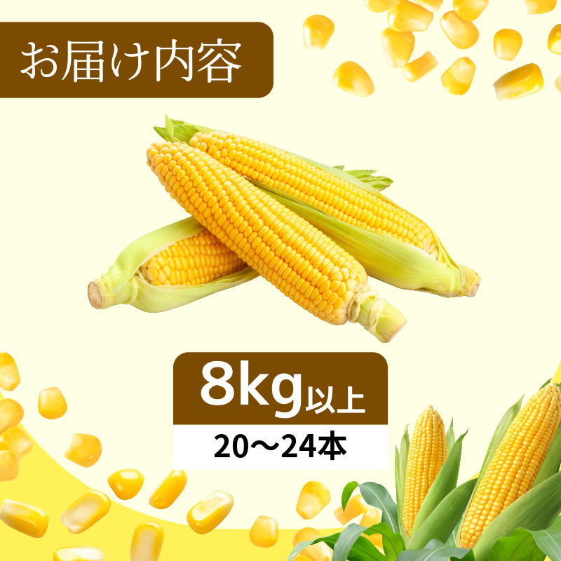 ã6æäžæ¬ããé æ¬¡çºéãããšããããã ãŽãŒã«ãã©ãã·ã¥ 8kgä»¥äž éžã¹ã 容é å³éž æ°é®® çã ç åœç£ éè ã¹ã€ãŒãã³ãŒã³ ããŒããã¥ãŒ BBQ ã³ãŒã³ æ¬ åŸ³å³¶ç