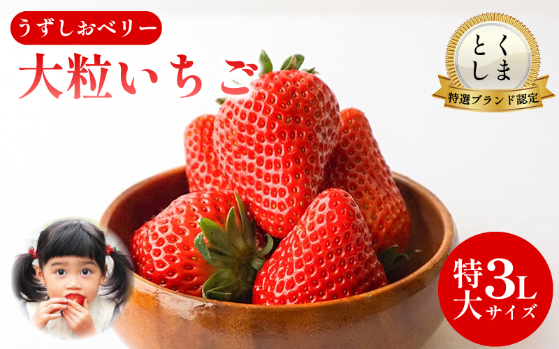 いちご 苺 30粒 3L サイズ 2026年1月から4月末まで発送 うずしおベリー 果物 フルーツ デザート 旬 新鮮 季節 冬 人気 ケーキ おすすめ ギフト プレゼント 贈答 贈り物 家庭用 先行予約 送料無料 徳島