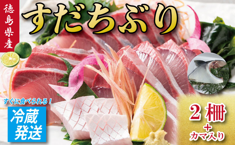 すだちぶり 2柵 カマ入り 10月から11月末まで発送 すだち ぶり 鰤 刺身 ぶりしゃぶ 切り身 さしみ カマ ぶりかま ご飯 米 こめ 丼 柑橘 塩 焼き ブランド 鮮度 新鮮 下処理済み 簡単 国産 うなぎ 鮭 カツオ まぐろ みかん に負けない 徳島 鳴門 なると
