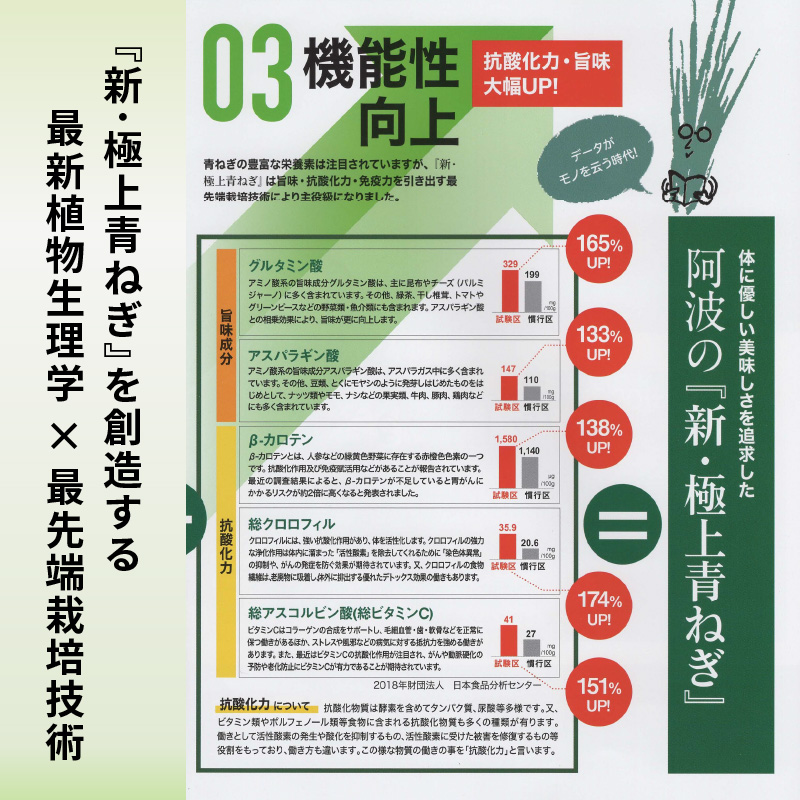 【12月~3月・7月のみ発送】青ねぎ 5kg ネギ 葱 極上 薬味 国産 野菜 うどん ギョーザ 餃子 チャーハン 焼きネギ 徳島 阿波市 新･極上青ねぎ 通常発送 旬 ネギ