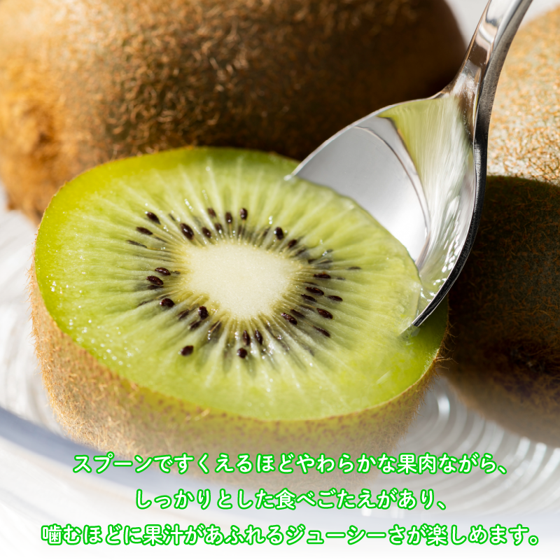 訳あり キウイフルーツ 9~12玉 1kg きうい キウイ フルーツ 果物 くだもの お取り寄せ 人気 おすすめ 徳島県 送料無料 徳島青果