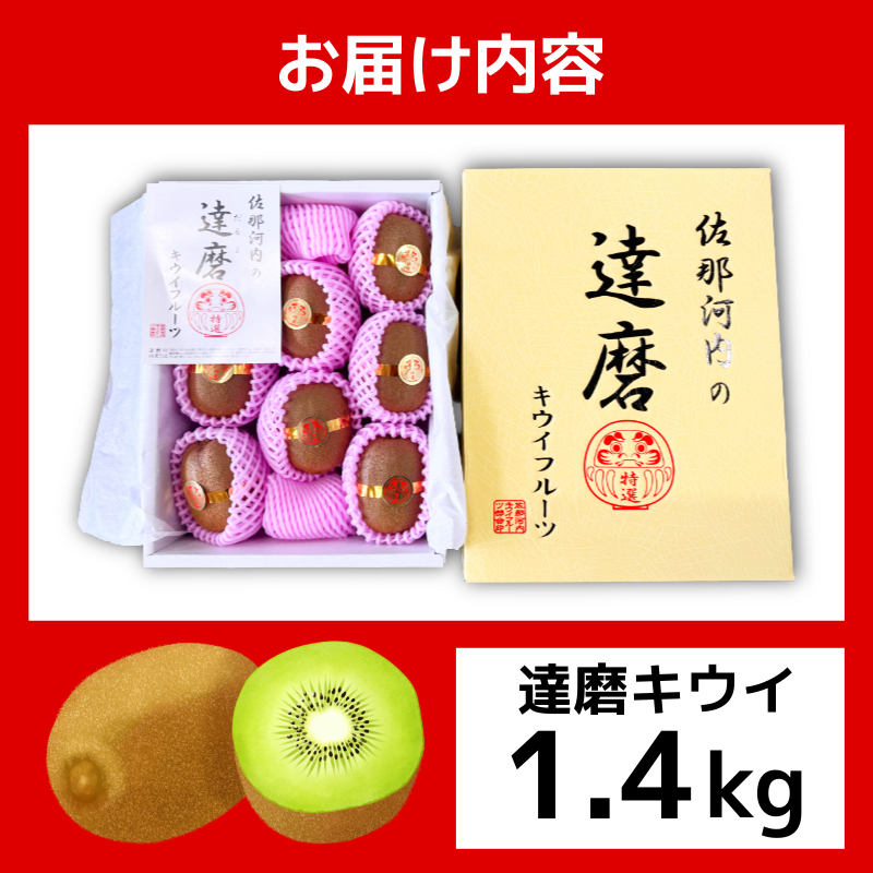 達磨キウイ 8玉 1.4kg きうい キウイ フルーツ 果物 くだもの お取り寄せ 人気 おすすめ 徳島県 送料無料 徳島青果